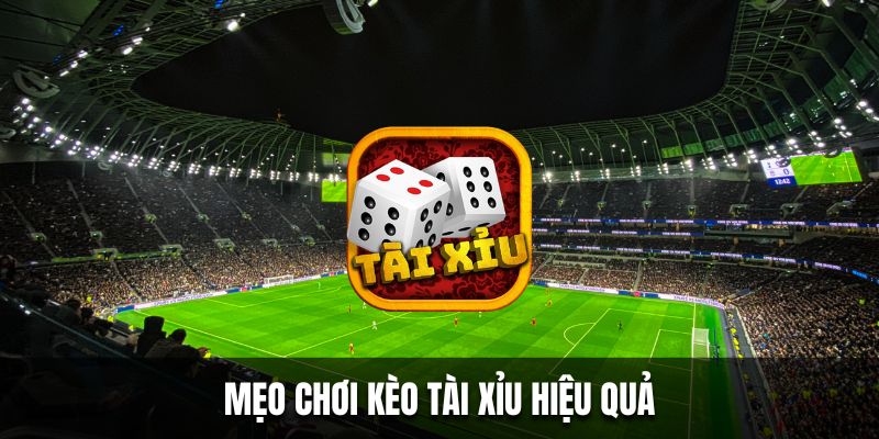 Mẹo chơi tỷ lệ kèo tài xỉu hiệu quả