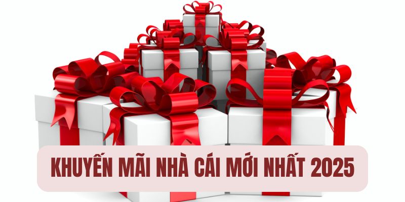 Những khuyến mãi hấp dẫn trên hệ thống