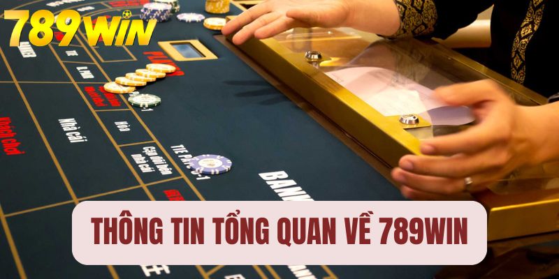 Những thông tin tổng quan về nhà cái