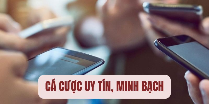 Kinh doanh cam kết sự uy tín và minh bạch