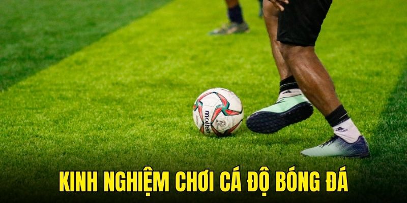 Tính toán tiền cược lẫn thông số là điều nên làm khi cá độ bóng đá