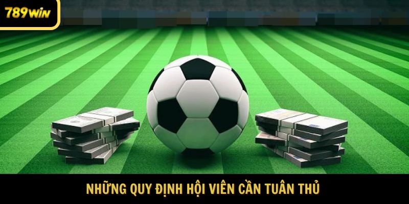 Nguyên tắc cá cược thể thao hội viên cần nắm 