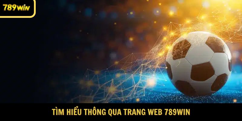 Tìm hiểu thuật ngữ cá độ bóng đá tại web 789WIN 