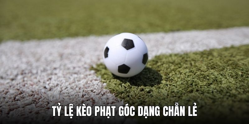 Tỷ lệ kèo phạt góc chẵn lẻ phù hợp với mọi người chơi